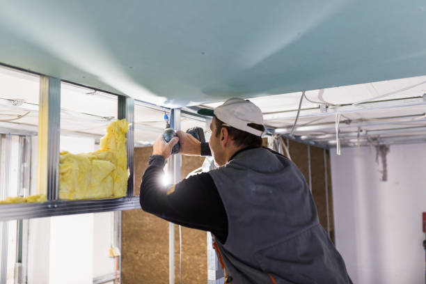 Best Insulation Removal  in Greenwood Village, CO